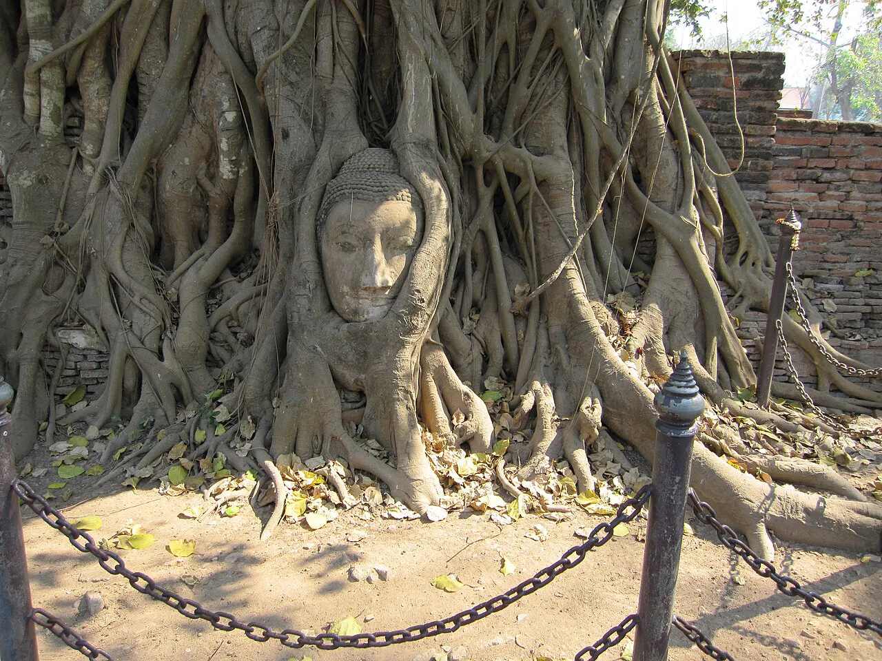 Ayutthaya Historical Park, Thailand