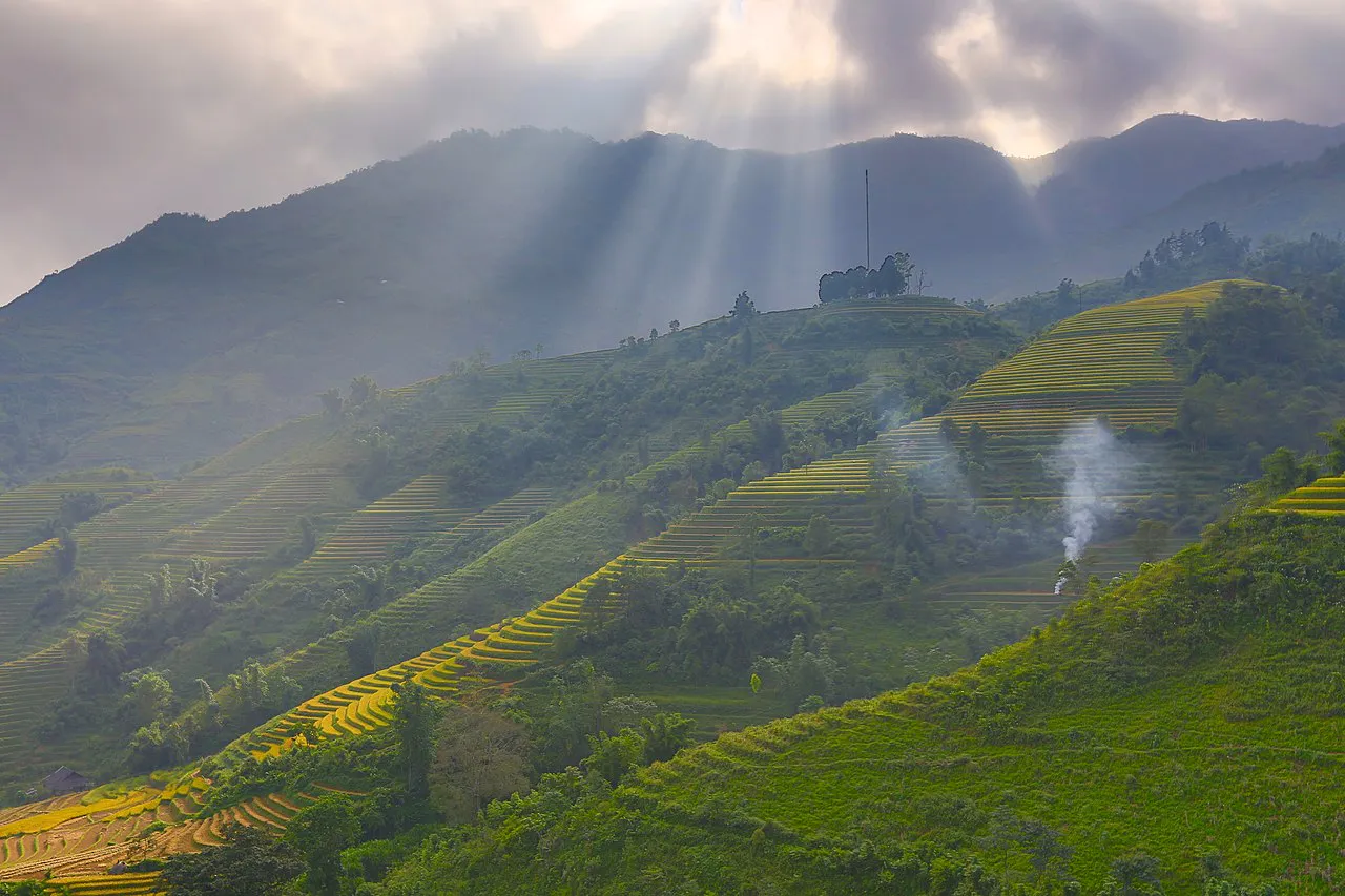 Sapa Terraced Fields, Viet Nam