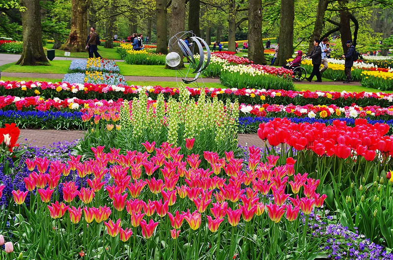 Keukenhof attraction