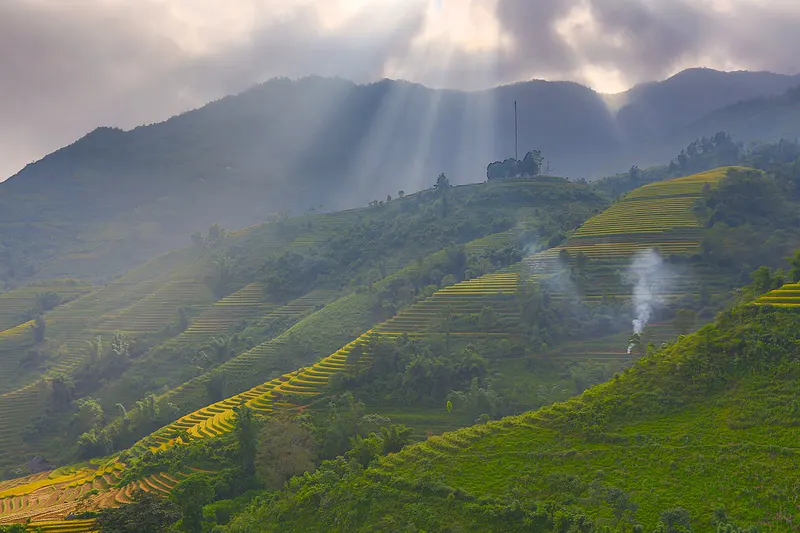 Sapa Terraced Fields attraction