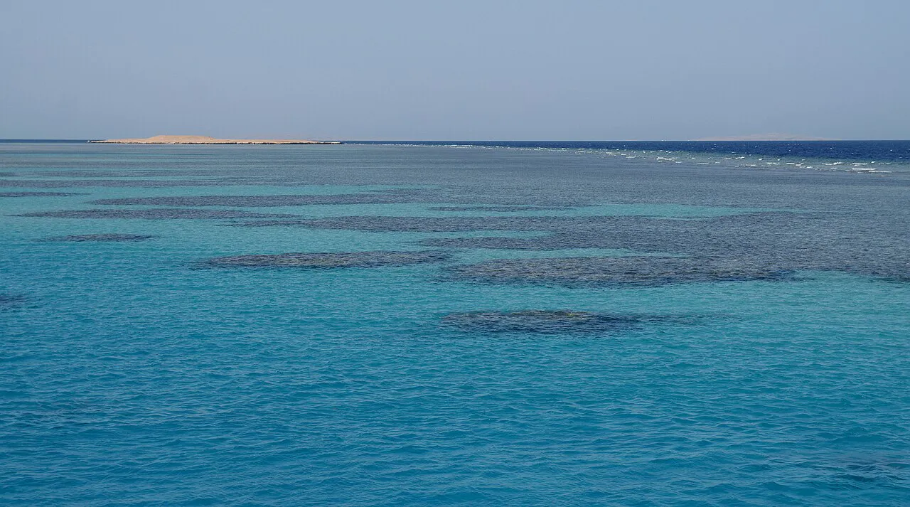 Red Sea Diving: Hurghada & Sharm el-Sheikh in 7 Days itinerary cover