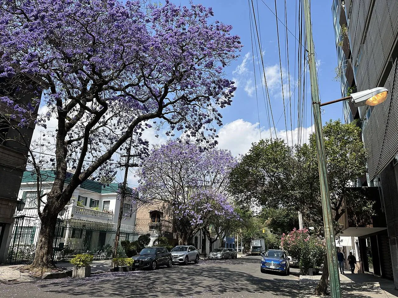 Mexico City Food & Art: Roma, Condesa & Frida's Blue House in 5 Days itinerary cover