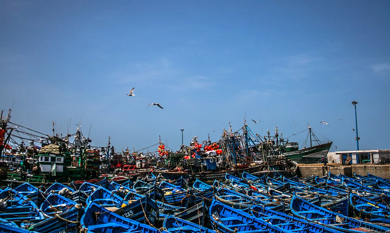 Sahara Honeymoon: Starlit Camp & Coastal Essaouira in 7 Days itinerary cover