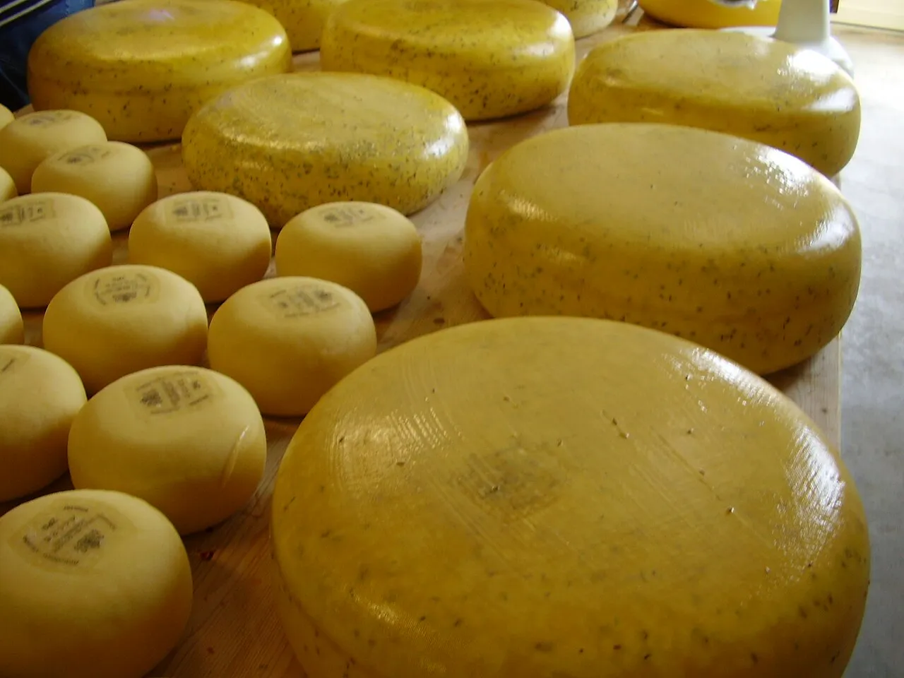 Dutch Food Trip: Amsterdam Markets, Gouda Cheese & Heineken in 4 Days itinerary cover