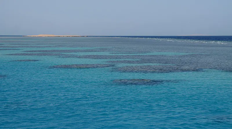 Red Sea Diving: Hurghada & Sharm el-Sheikh in 7 Days itinerary cover