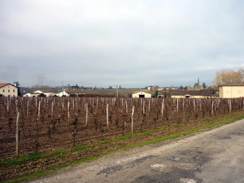 French Wine Trail: Champagne, Bordeaux & Burgundy in 7 Days itinerary cover