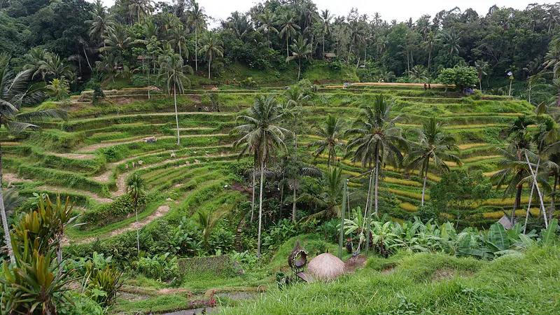 Bali Honeymoon: Ubud Villas, Tanah Lot & Nusa Dua in 7 Days itinerary cover