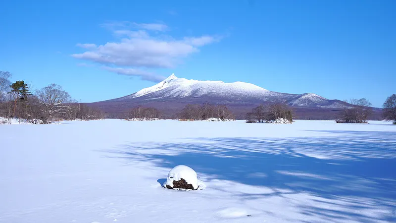 Hokkaido in Winter: Sapporo, Otaru, Furano & Biei Snowscape in 6 Days itinerary cover
