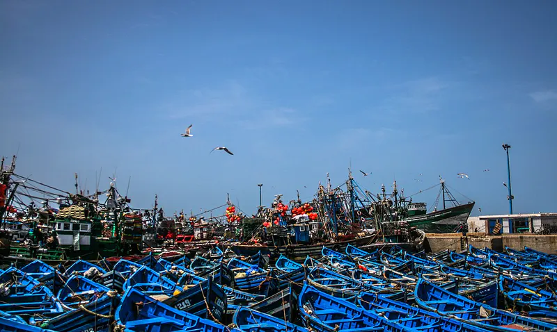Sahara Honeymoon: Starlit Camp & Coastal Essaouira in 7 Days itinerary cover