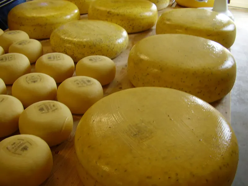 Dutch Food Trip: Amsterdam Markets, Gouda Cheese & Heineken in 4 Days itinerary cover